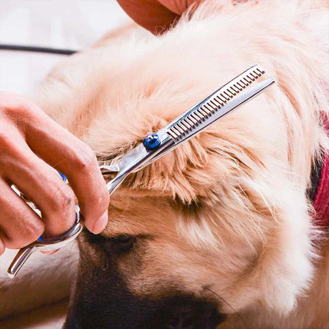 Tesoura Para Tosa Pet 6 em 1