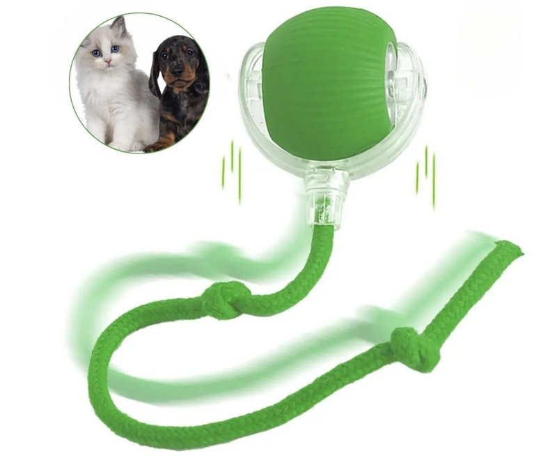 GiraBall - Bola de Caça Inteligente