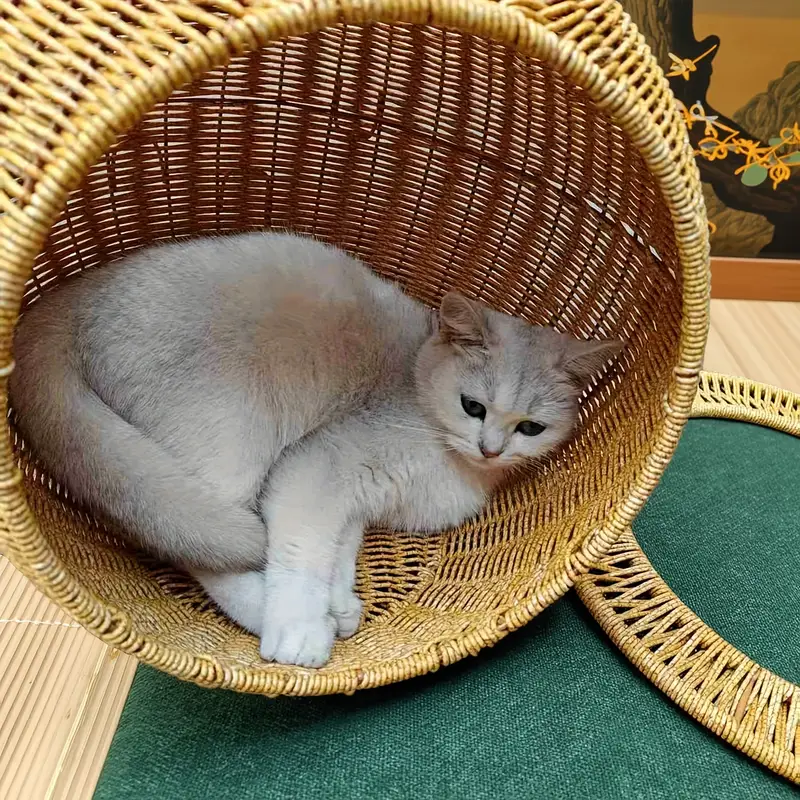 Ninho Suspenso de Vime para Gatos PatinhaPlus©