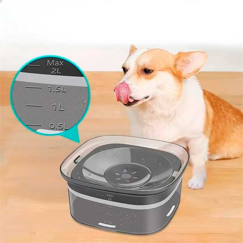 Bebedouro Anti-Respingo Inteligente para Cães
