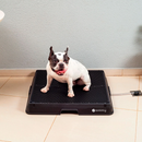 Weasy Cão – O Banheiro Inteligente