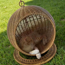 Ninho Suspenso de Vime para Gatos PatinhaPlus©